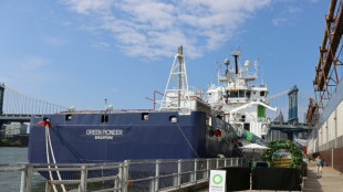 Le magnat des mines qui ne voulait plus être un "énorme pollueur"