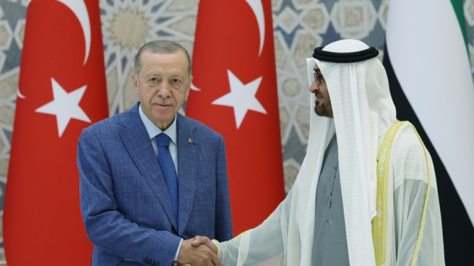 Turkey's Erdogan caps economy-driven Gulf tour in UAE