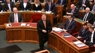 Ungarns Parlament stimmt f&uuml;r Aufnahme Schwedens in die Nato