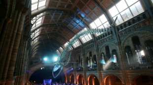 UK decides against charging foreign visitors for museums