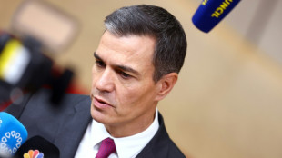 Spain's opposition steps up criticism of Sanchez amnesty plan
