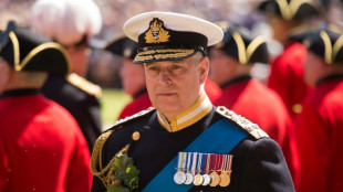 Andrew to lose his last military rank: defence minister