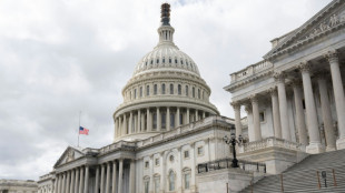Republicans in tight contest for new US House speaker