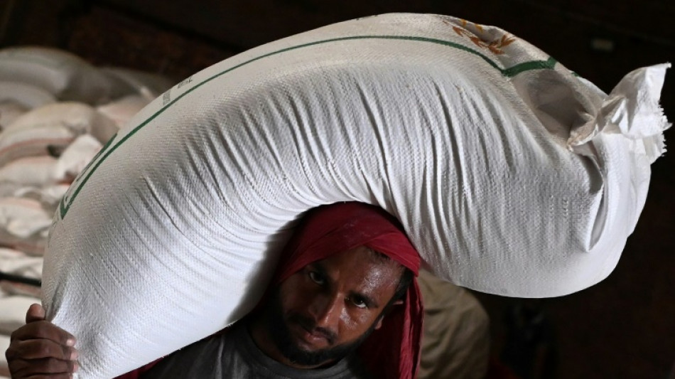 Amarga cosecha para los agricultores indios tras la prohibici&oacute;n de exportar trigo