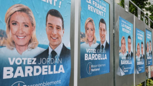Le RN en t&ecirc;te des intentions de vote pour les l&eacute;gislatives, selon un sondage