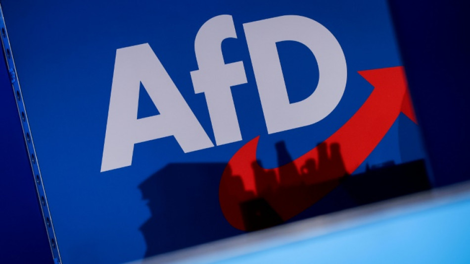 Grüne wollen AfD-Verbotsverfahren mit Bund-Länder-Arbeitsgruppe auf den Weg bringen