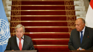 UN chief calls for 'sustained' humanitarian access to Gaza