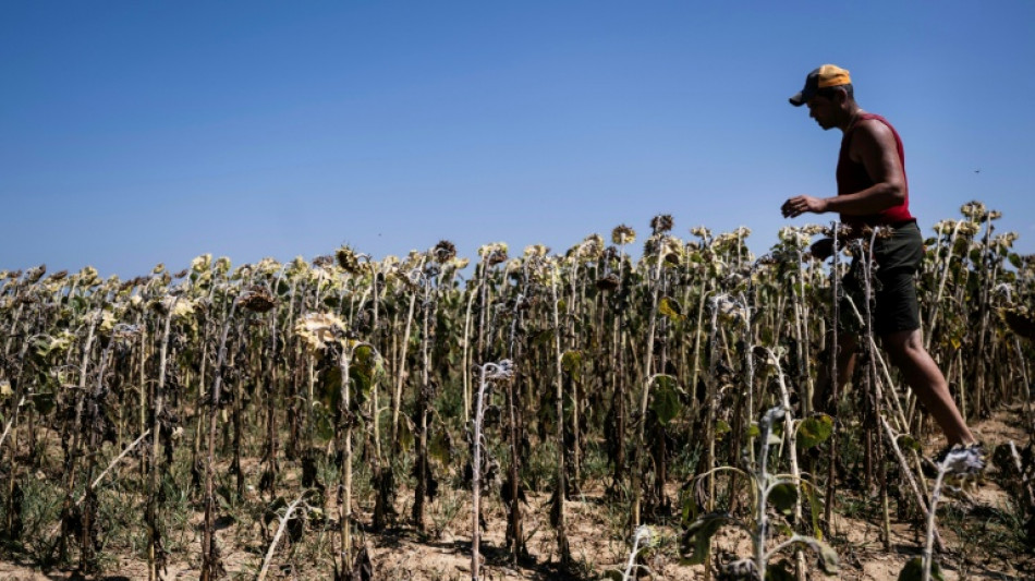 L'ONU appelle le monde &agrave; faire face &agrave; la "r&eacute;alit&eacute;" d'un d&eacute;passement du r&eacute;chauffement au-del&agrave; de 1,5&deg;C