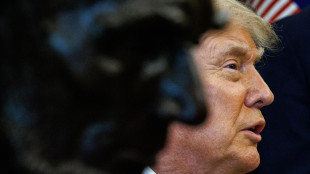 Trump, 'Israele e Iran smettano immediatamente di sparare'
