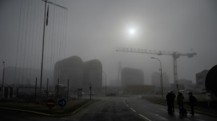 El gigante el&eacute;ctrico franc&eacute;s EDF suspender&aacute; tres reactores nucleares para realizar "controles"