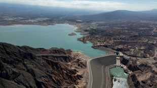 Argentine mining threatens scarce water resources in the Andes