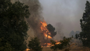 Muere en Portugal un bombero que combatía los incendios, cuarta víctima en el país