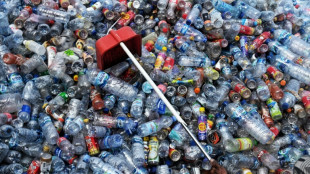 EU verhandelt &uuml;ber Verpackungsm&uuml;ll und Verbot von Zwangsarbeitsprodukten