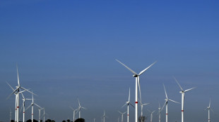 Climat: l'Europe sous-investit dans l'&eacute;olien et la r&eacute;novation des b&acirc;timents, selon une &eacute;tude