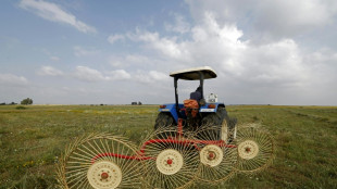 Au Maroc, une embellie agricole rattrap&eacute;e par la guerre au Moyen-Orient