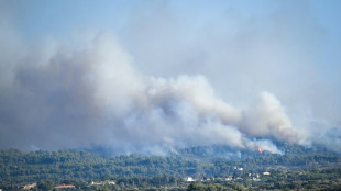 Feux de forêt: à la mi-saison estivale, déjà 15.000 hectares brûlés en France