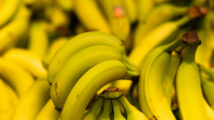Erfolg f&uuml;r Verbrauchersch&uuml;tzer vor EuGH in Streit &uuml;ber Werbeprospekt von Aldi S&uuml;d