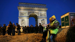 Detenidas 66 personas en protesta agraria junto al Arco del Triunfo en Par&iacute;s