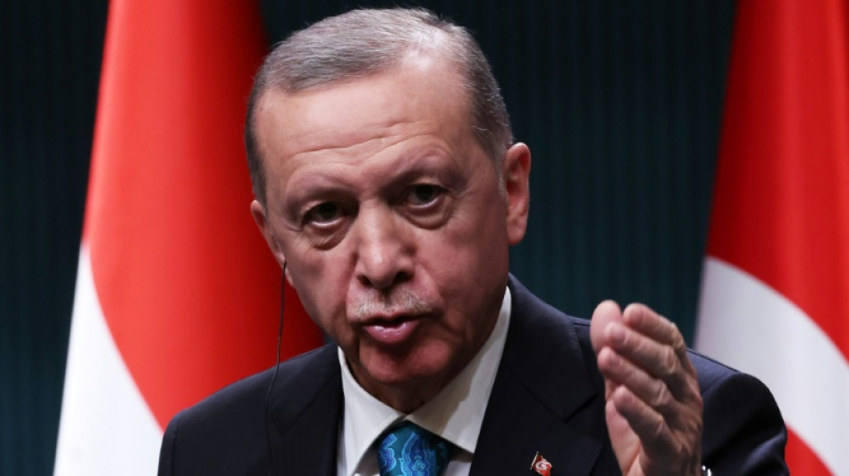 Parlamento de Turqu&iacute;a ratifica adhesi&oacute;n de Finlandia a la OTAN