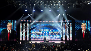 Trump, acusado de haber agredido a una exmodelo que le present&oacute; Epstein 