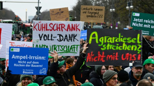 Regierung nimmt K&uuml;rzungspl&auml;ne bei Bauern teilweise zur&uuml;ck - Protest geht weiter