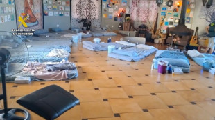 Desmantelado un grupo que organizaba "retiros espirituales" con drogas alucinógenas en España