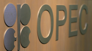 OPEC+ maintains output reduction to boost oil prices