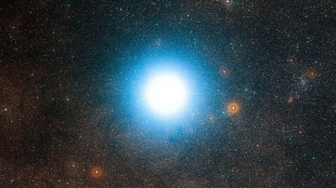 Scoperto pianeta potenzialmente abitabile vicinissimo alla Terra