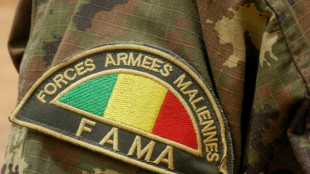 Una operaci&oacute;n suicida golpea una base en Mal&iacute; tras el doble atentado imputado a yihadistas