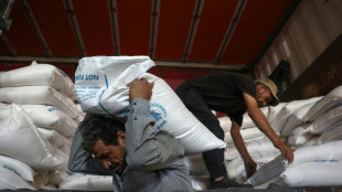 Le m&eacute;canisme d'aide transfrontali&egrave;re &agrave; la Syrie expire sans accord &agrave; l'ONU