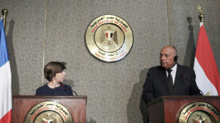 Egypt, France foreign ministers urge aid to Gaza through Rafah