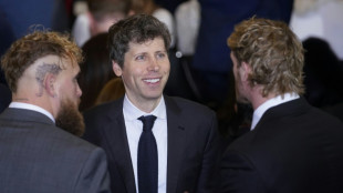 ¿Cuánto puede durar la fiebre de la inversión en IA?