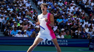Shelton tames Paul to reach first US Open quarter-final
