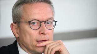 Künstliche Intelligenz: Digitalminister Wildberger setzt auf Austausch mit den USA