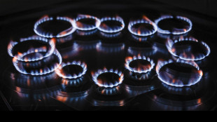 Future sul gas a 32,15 euro al megawattora