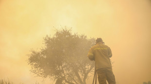 Waldbrand in Griechenland: Mehr als 250 Urlauber mit Booten von Str&auml;nden evakuiert 