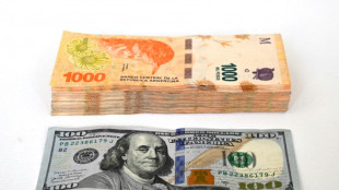 Debt, inflation and the peso: Argentina's election worries