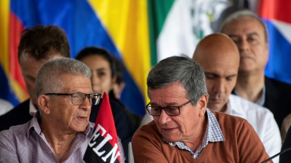 El gobierno colombiano reconoce el car&aacute;cter pol&iacute;tico del ELN para avanzar en los di&aacute;logos de paz