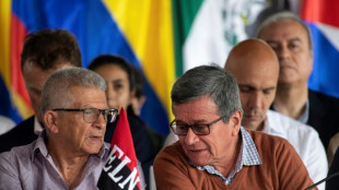El gobierno colombiano reconoce el car&aacute;cter pol&iacute;tico del ELN para avanzar en los di&aacute;logos de paz