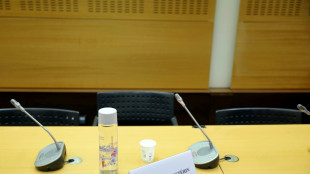 Face aux s&eacute;nateurs, St&eacute;rin esp&egrave;re la victoire d'une "politique de droite lib&eacute;rale conservatrice"