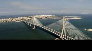 Loas al mestizaje y crítica a las tiranías en el Congreso de la lengua española