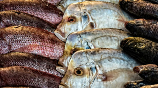 Schwarzarbeit in Fischrestaurant: Paar soll 18.000 Euro Grundsicherung zurückzahlen