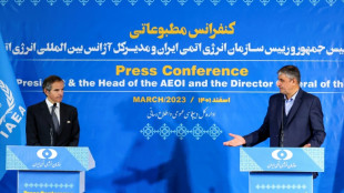 Ir&aacute;n reconectar&aacute; c&aacute;maras y admitir&aacute; m&aacute;s inspecciones en sitios nucleares