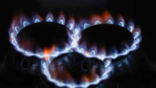 Il prezzo del gas apre in rialzo a 32,66 euro