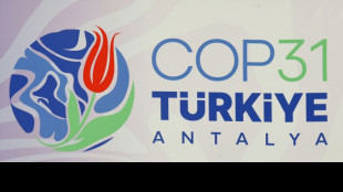 La COP31 se perfila con ambiciones modestas pese a la emergencia clim&aacute;tica