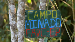 Colombia busca en Europa cooperaci&oacute;n cient&iacute;fica para consolidar la paz