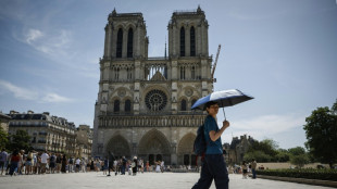 Orages &agrave; venir apr&egrave;s la premi&egrave;re vague de chaleur d'une ann&eacute;e qui risque d'en conna&icirc;tre d'autres