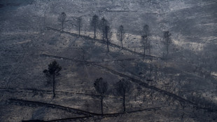 El viento complica la lucha contra los incendios en España