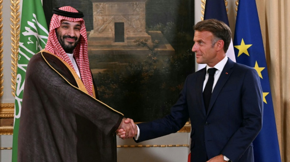 Saudi Arabia to invest $7 bn in theme parks near Paris: French presidency 