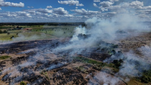 Br&eacute;sil: la d&eacute;forestation sous un seuil historique en 2025